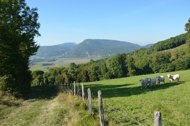 Sentier Mondragon