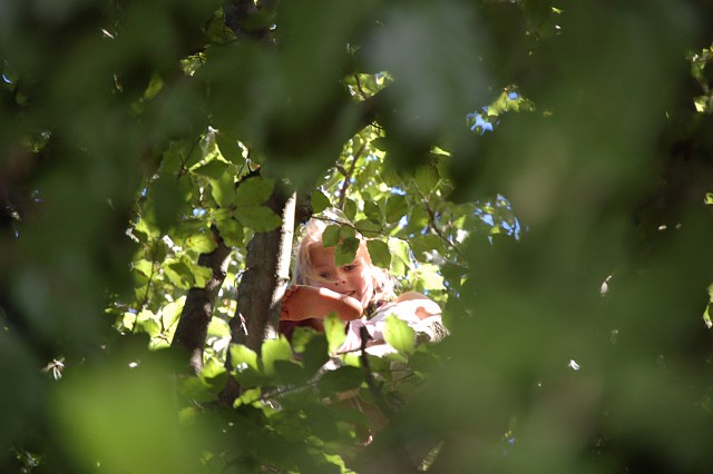 installation et encadrement avec Patrice Pauly -