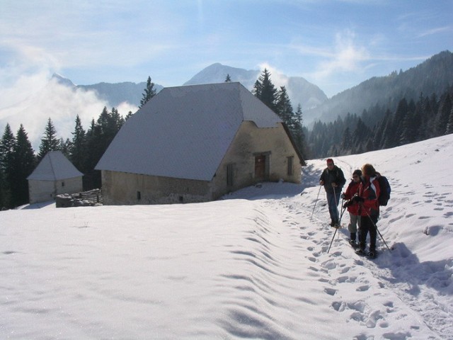 CARTUSIANA
