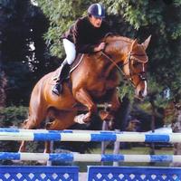 Saut d'obstacles