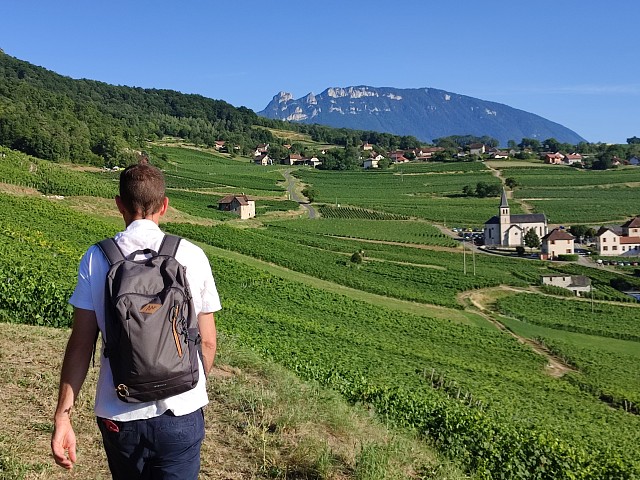 Vignoble de Jongieux