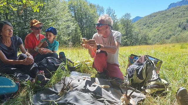 découverte de la faune de montagne