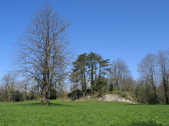 Le château du Menuet - Les Echelles