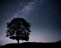 Nuit des étoiles_Miribel-les-Échelles