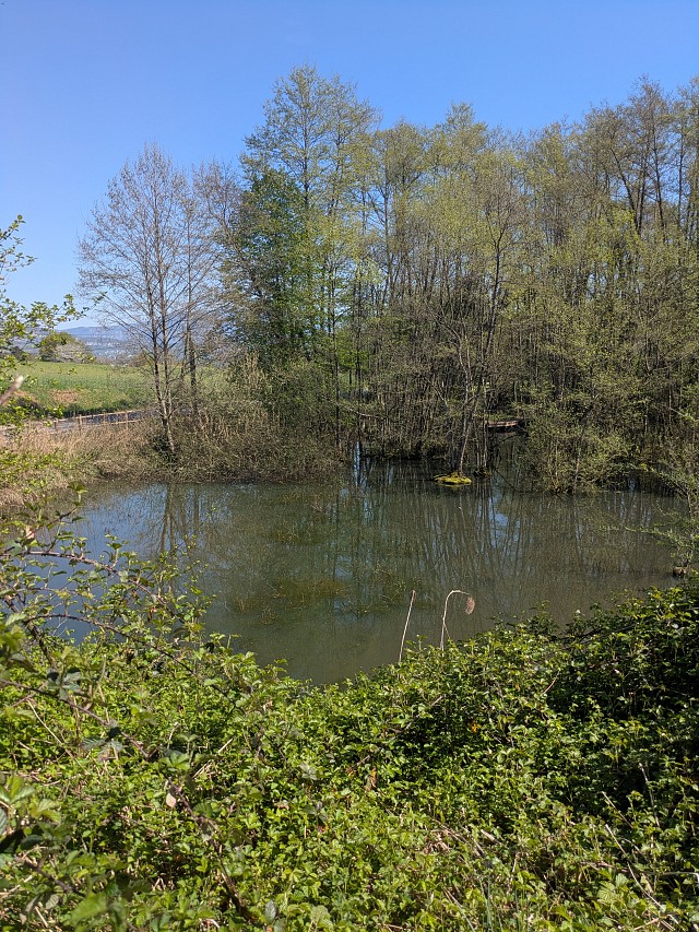Espace Naturel Sensible de l'étang des Nénuphars_Romagnieu