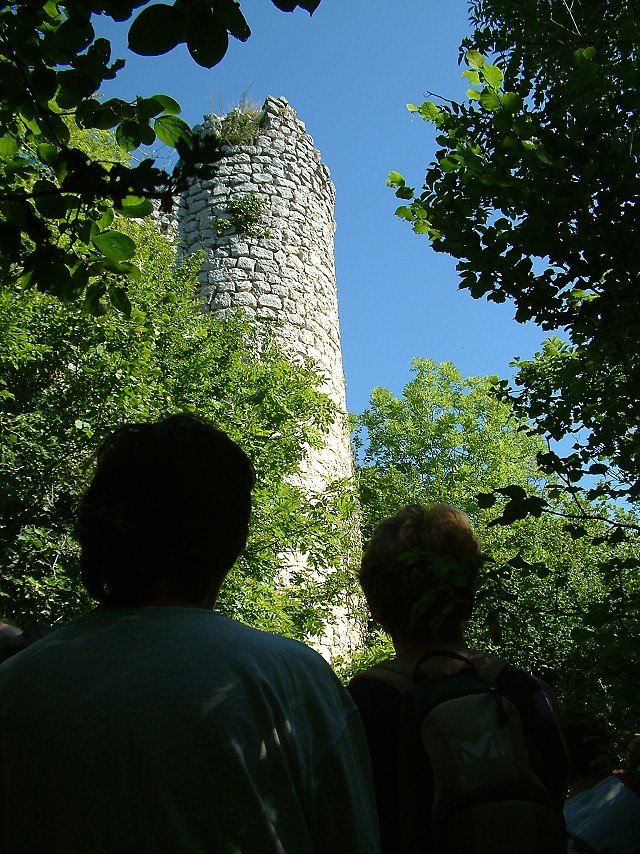 Les ruines du château de Mauchamp_Saint-Genix-les-Villages