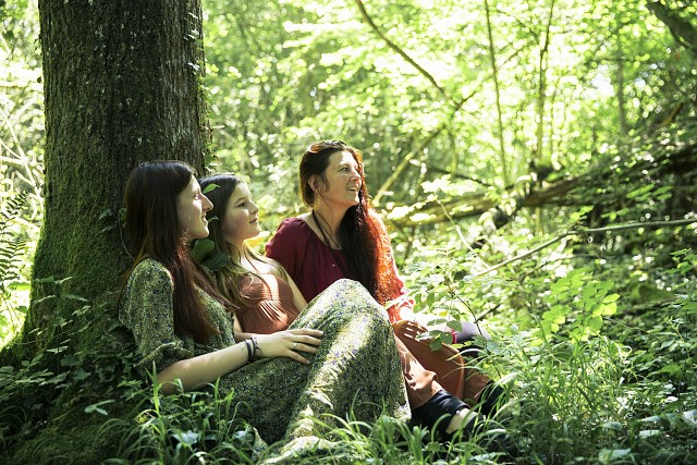 Balade ressourçante au cœur des arbres