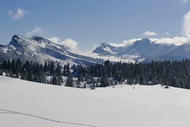 Randonnée avec L'oreille du lynx - Chartreuse