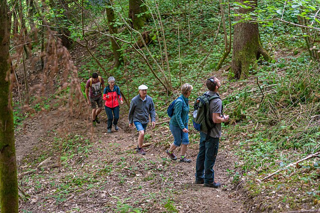 Les Fêtes de la Chartreuse - Visite de la forêt vitrine Sylv’acctes_Entre-deux-Guiers