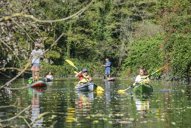 Kayak sur le Rhône sauvage