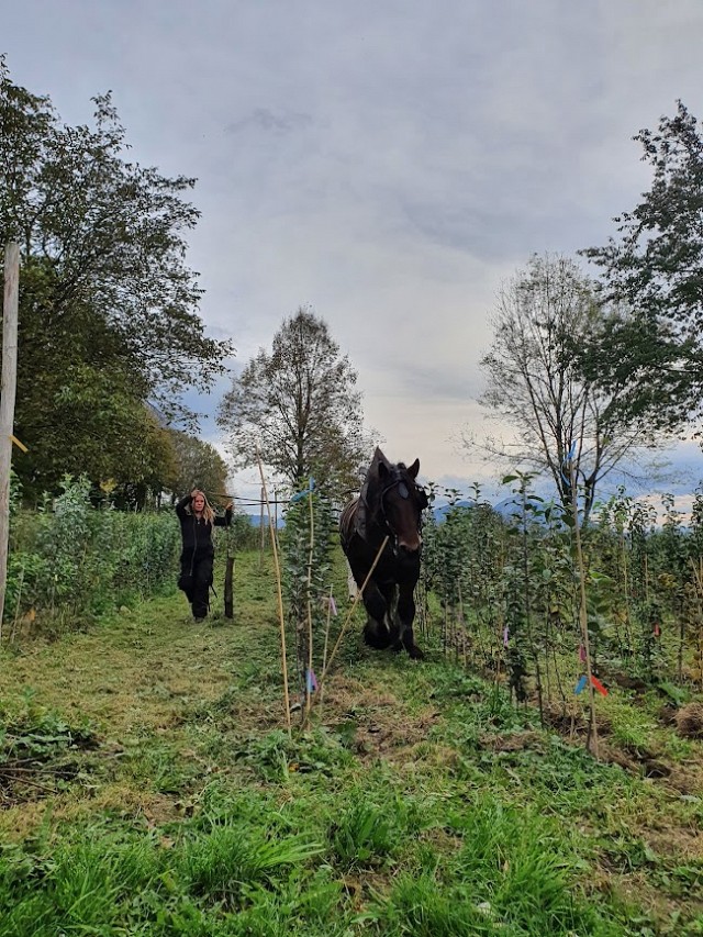 Visite de la pépinière_Saint-Pierre-de-Genebroz