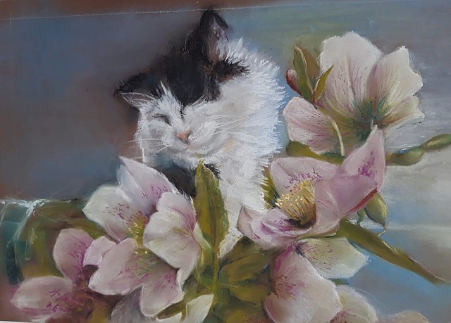Exposition des peintures de Nelita Maffeïs_Saint-Pierre-d'Entremont