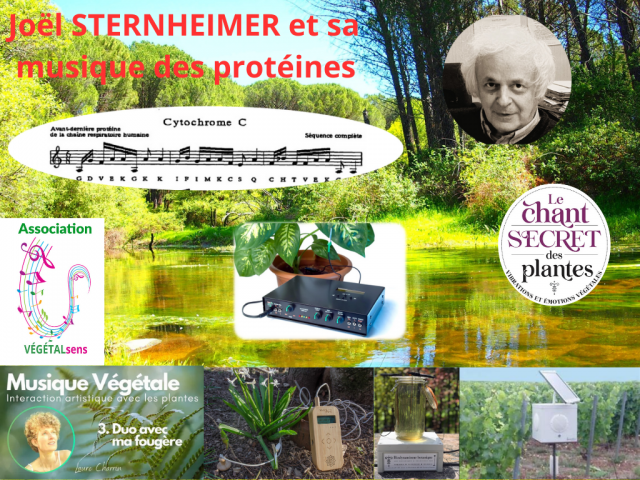 Végétalsens activité_Saint-Alban-de-Montbel