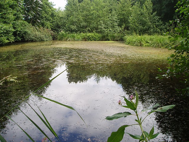 Département de l'Isère