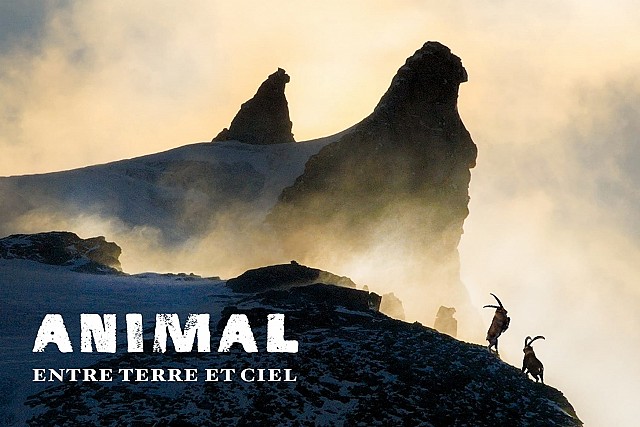 Lapied Film