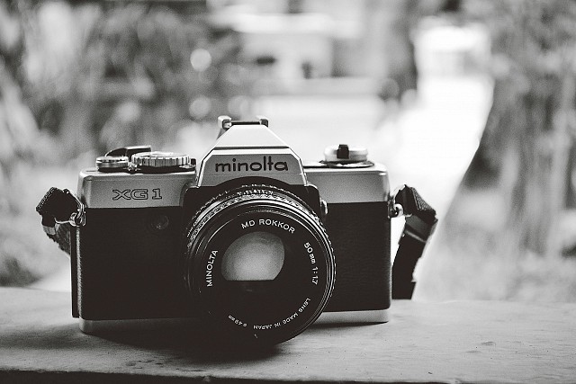expo photo