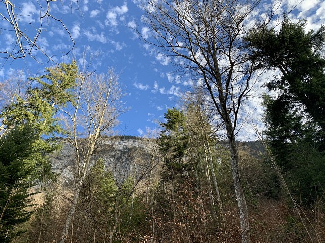 Balade ressourcante : 