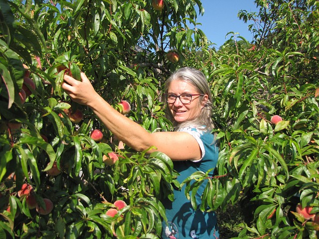 Les Artisans vous ouvrent leurs portes ! Visite de l'atelier De la fleur au fruit_Saint-Pierre-d'Entremont