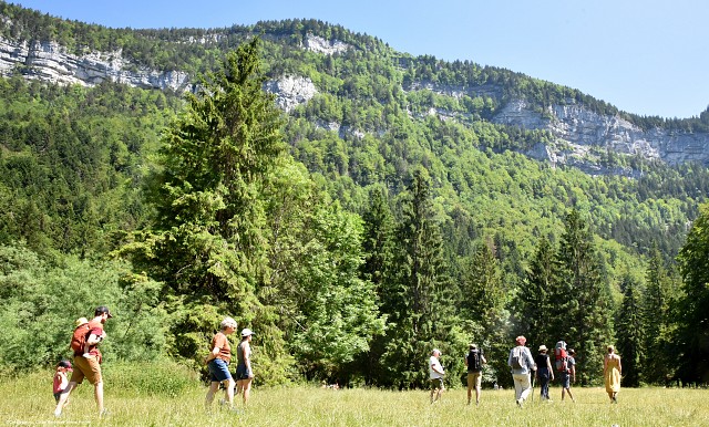 Randonnées : Initiation et découverte_Saint-Joseph-de-Rivière