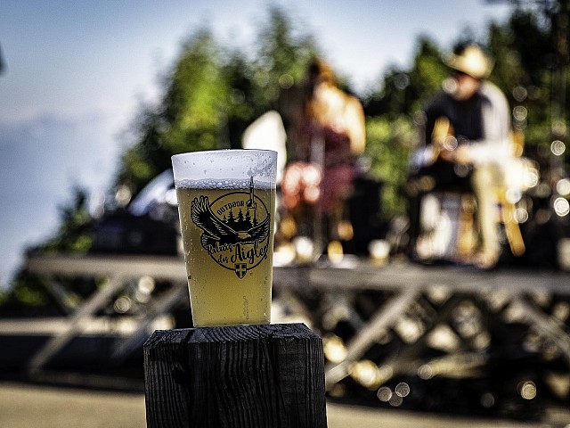 WILD FESTIVAL 