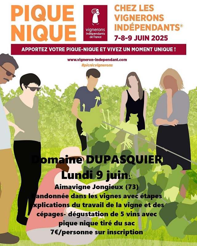 Pique-nique vigneron & randonnées dans les vignes au Domaine Dupasquier_Jongieux