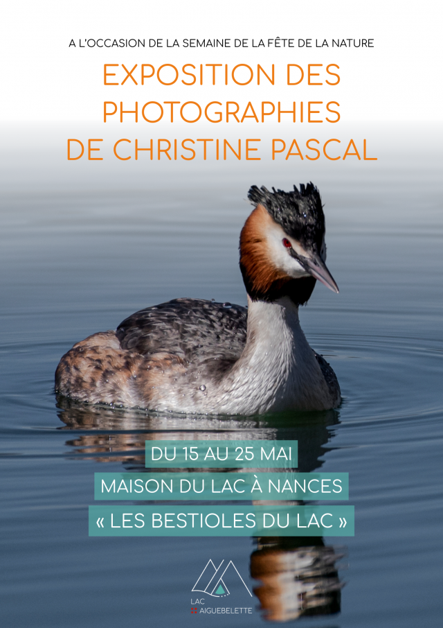 Exposition photo Les bestioles du lac_Nances