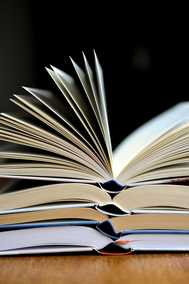 Braderie de la Bibliothèque de Yenne_Yenne