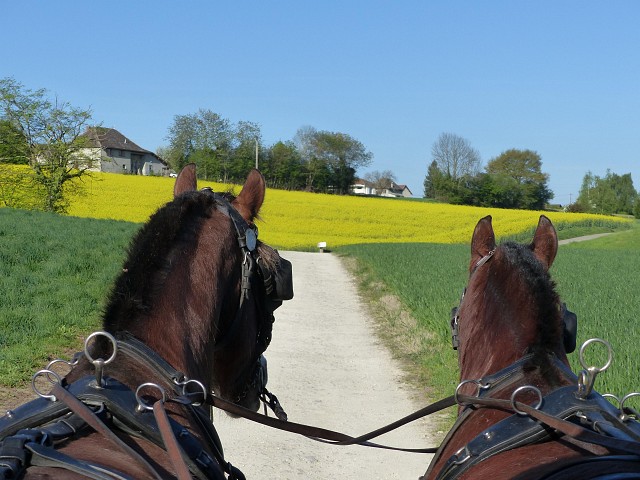 Balade ludique en calèche_Pressins