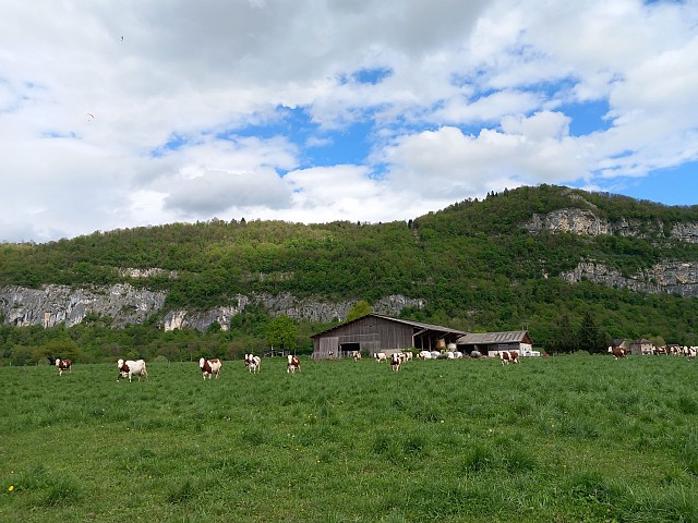 Déambulation tous en fanfare au marché_Verel-de-Montbel