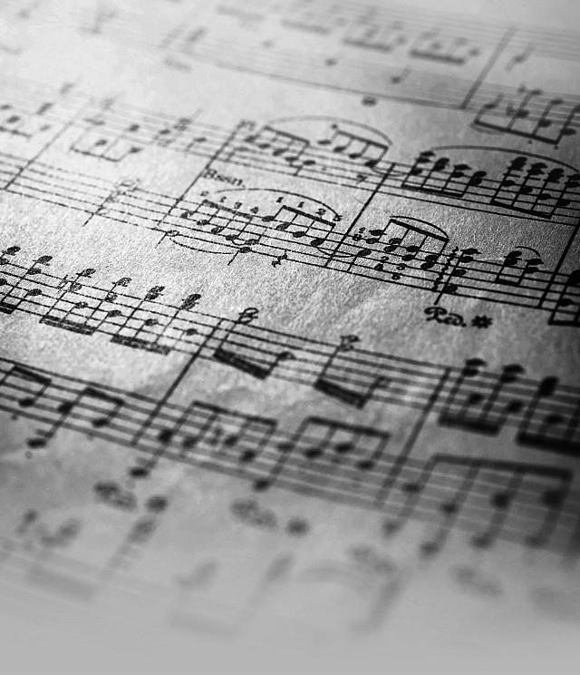 Concert ensemble baroque Cogli La Rosa_Champagneux
