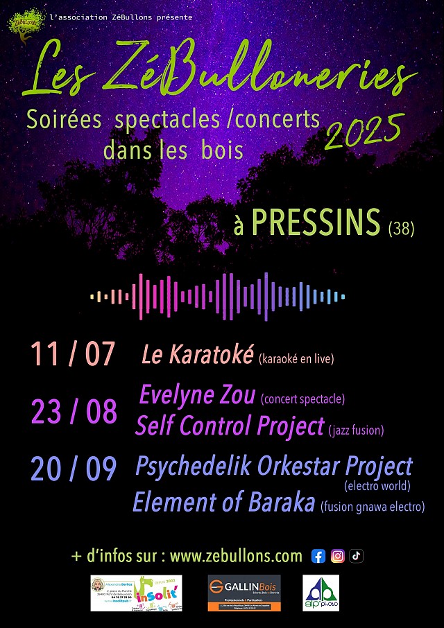 Les ZéBulloneries_Pressins