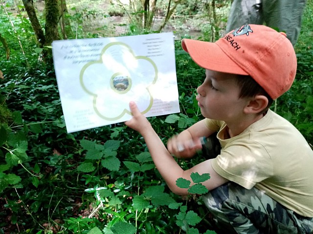 Atelier en nature à la recherche du blob !_Saint-Genix-les-Villages