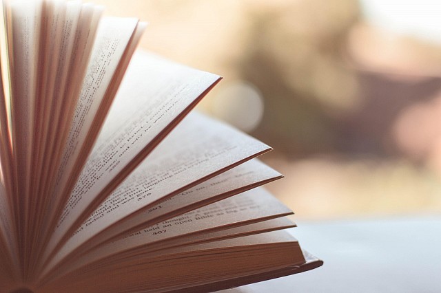 Salon du Livre_Yenne