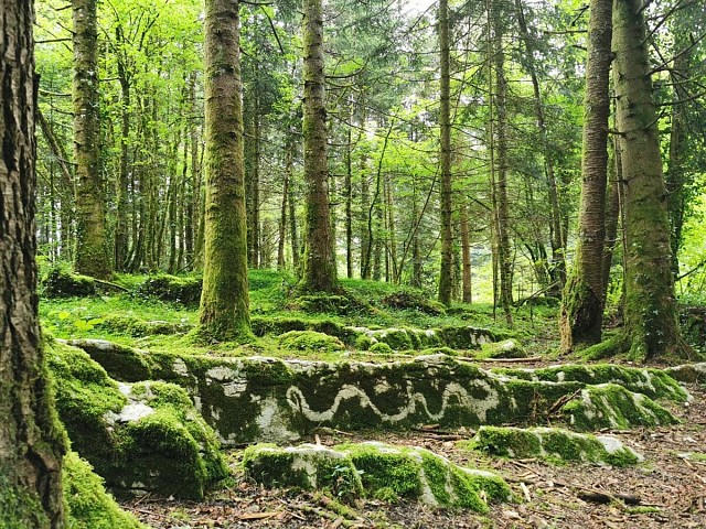 Balade contée « la Clairière enchantée »_Saint-Christophe-la-Grotte
