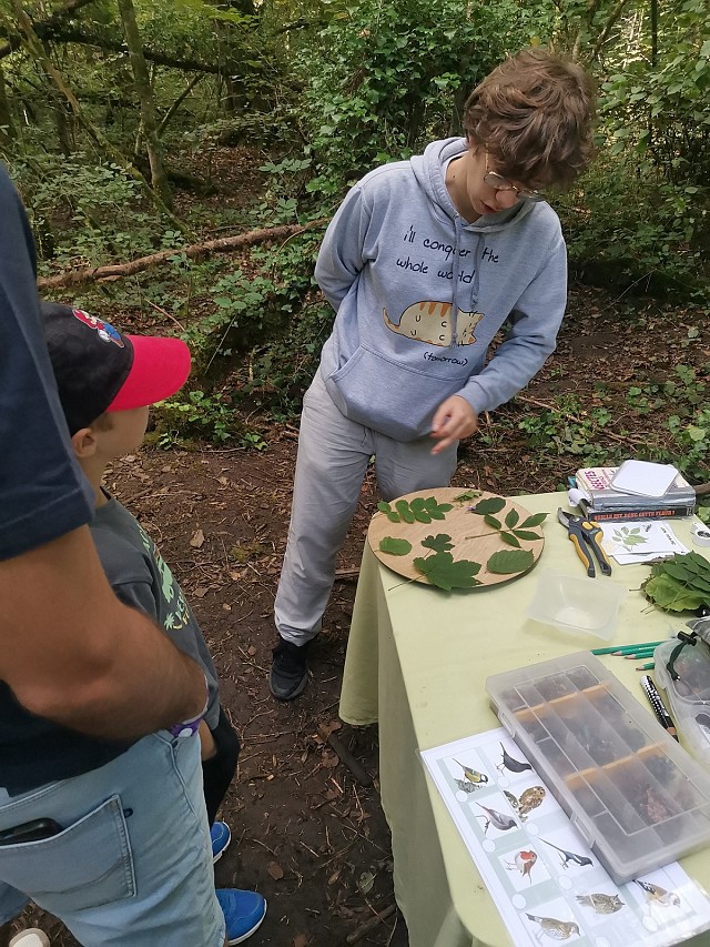 Rallye forêt_Tournon
