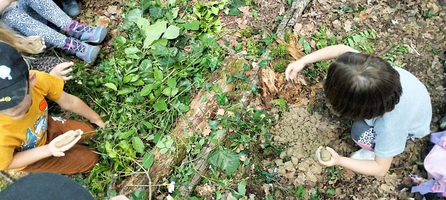 Les animaux imaginaires_Saint-Genix-les-Villages