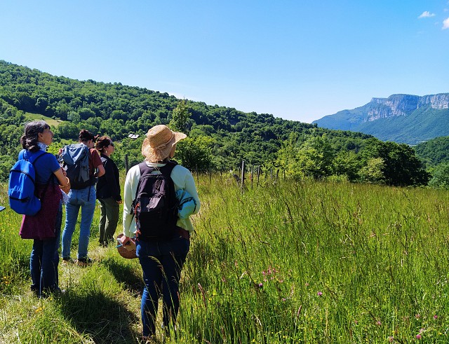 A la découverte des plantes sauvages comestibles et médicinales I Rendez-vous Nature en Savoie_Saint-Jean-d'Arvey