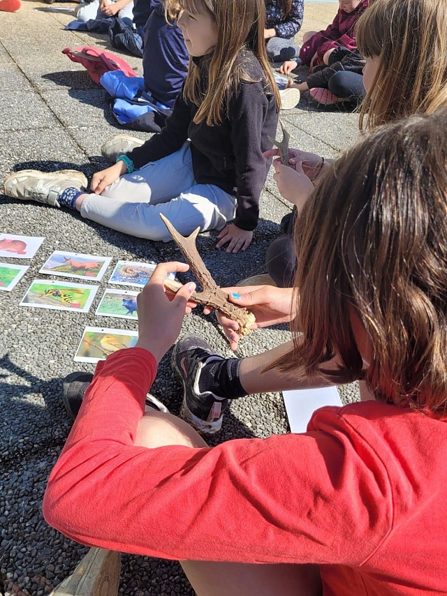 Mène ton inventaire ! I Rendez-vous Nature en Savoie_Sainte-Reine