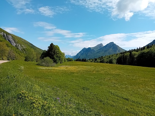 Double ZH : Zones Humides, Zones (H)importantes I Rendez-vous Nature en Savoie_Aillon-le-Jeune