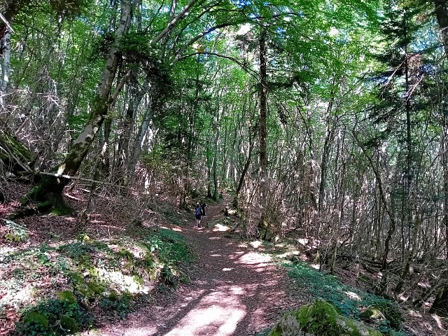 Découverte du monde mystérieux des champignons et des lichens I Rendez-vous Nature en Savoie_Porte-de-Savoie