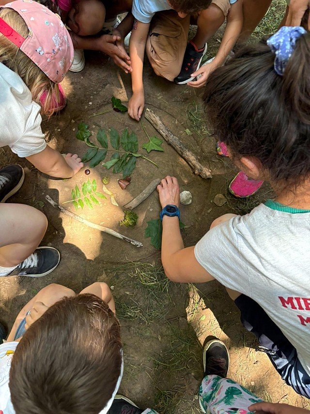 Forêt de mystère I Rendez-vous Nature en Savoie_Porte-de-Savoie