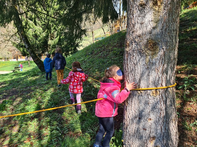 La forêt enchantée I Rendez-vous Nature en Savoie_Hautecour
