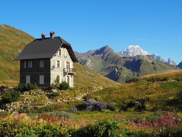 A la découverte des fleurs montagnardes I Rendez-vous Nature en Savoie_Séez