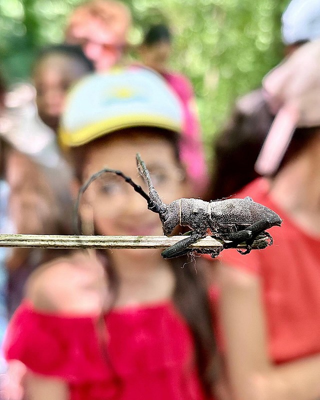 La Nature est dans tous les 5 sens I Rendez-vous Nature en Savoie_Sainte-Hélène-du-Lac