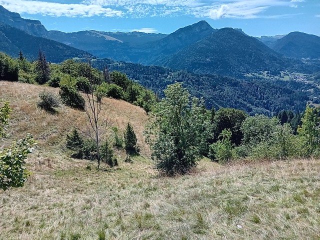 Au pays des pelouses sèches I Rendez-vous Nature en Savoie_Saint-Pierre-d'Entremont