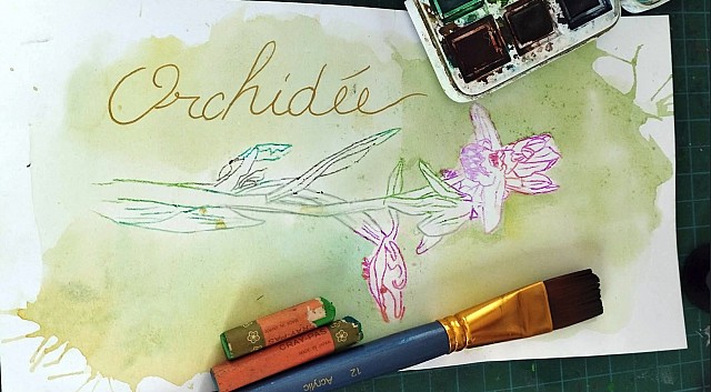 Atelier créatif nature : reproduction de la faune et de la flore au pastel ou à l'aquarelle I Rendez-vous nature en Savoie_Saint-Genix-les-Villages