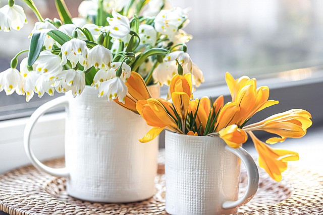 Décore ta bibliothèque !_Saint-Genix-les-Villages