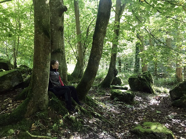 La forêt des Follatons_Verel-de-Montbel