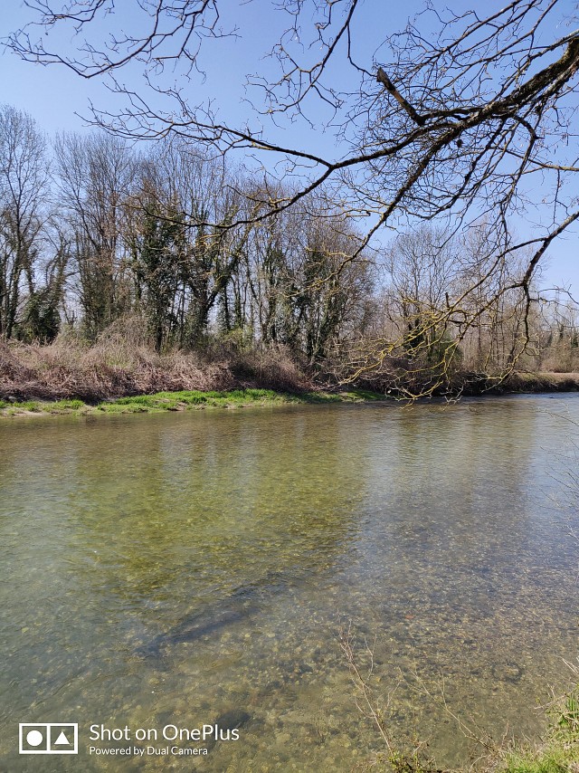 Accueil Bavard Café_Saint-Genix-les-Villages