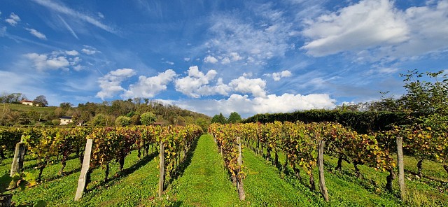 Portes ouvertes Le Cellier de Joudin_Saint-Genix-les-Villages